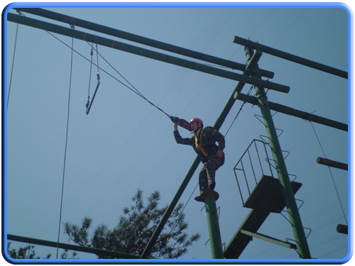 團隊建設(shè)(圖3) 團隊建設(shè)(圖3)